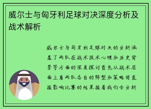 威尔士与匈牙利足球对决深度分析及战术解析